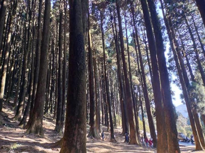 Lama Homestay Darjeeling  Eksteriør bilde